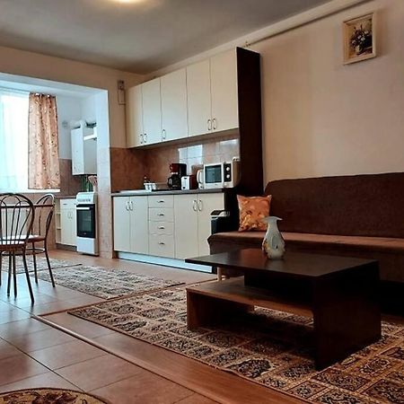 Spacious Flat, With Free Parking & Air Conditioning Floreşti Zewnętrze zdjęcie