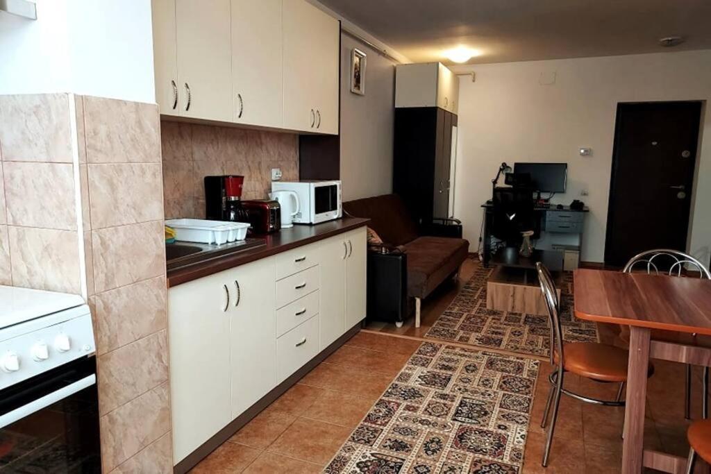 Spacious Flat, With Free Parking & Air Conditioning Floreşti Zewnętrze zdjęcie