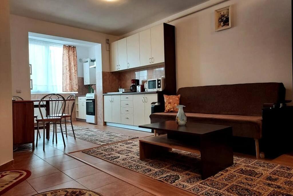 Spacious Flat, With Free Parking & Air Conditioning Floreşti Zewnętrze zdjęcie
