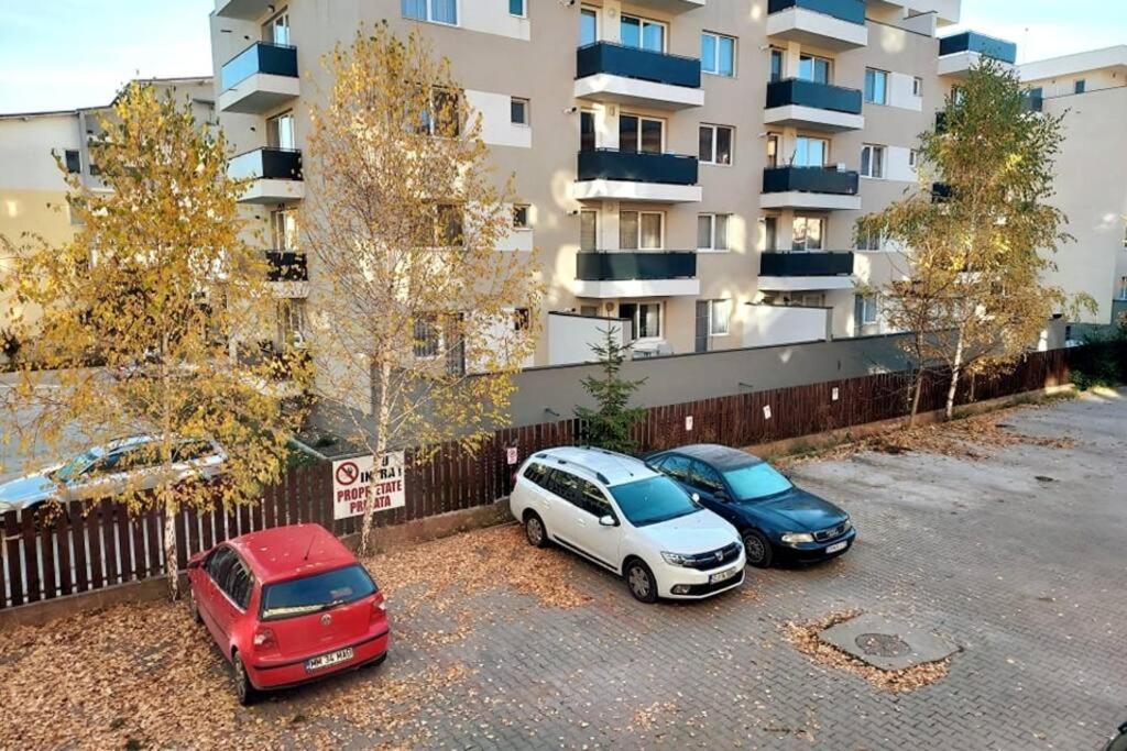 Spacious Flat, With Free Parking & Air Conditioning Floreşti Zewnętrze zdjęcie